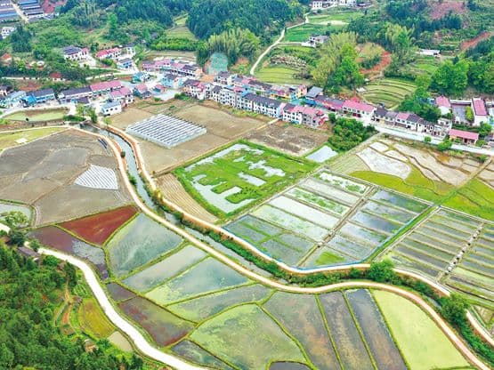 乌石村：画笔点活致富路 “石”绘产业新画卷