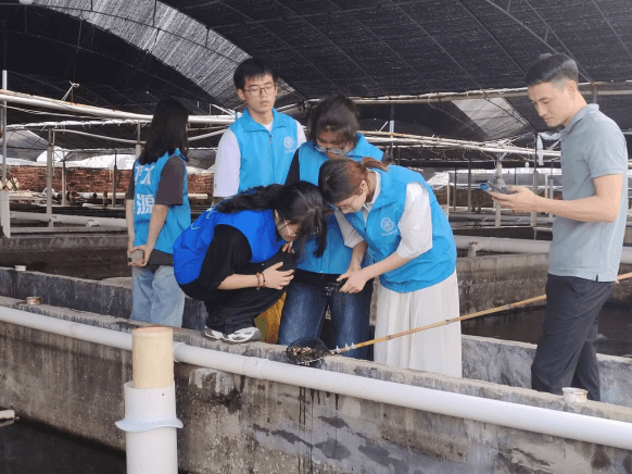 青春聚力！诏安探秘渔产生态 科普宣传共护蔚蓝海洋